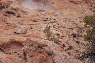 Rock formation on land