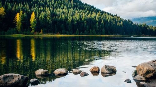 Scenic view of lake in forest against sky