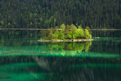 Reflection of trees in lake