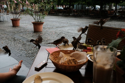 Panoramic shot of hand eating food