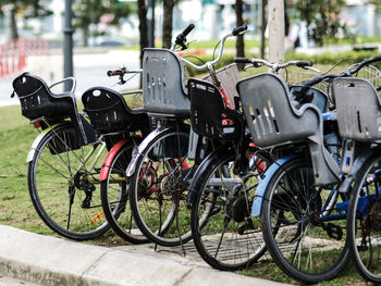 Bicycles for hire in the city playground