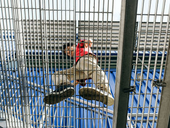 Low angle view of woman standing in cage