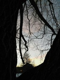 Silhouette bare tree against sky at sunset