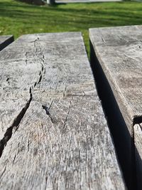 High angle view of tree stump