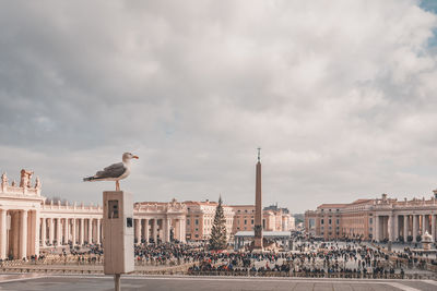 Seagulls perching on a building