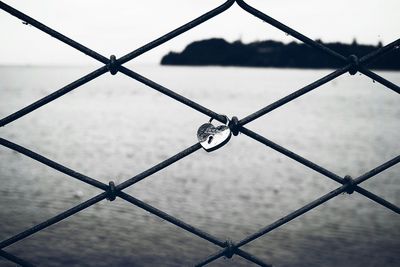 Close-up of chainlink fence