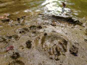 High angle view of wet sand