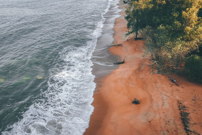 High angle view of trees on beach