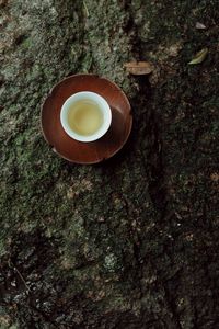 Directly above shot of coffee cup on tree trunk in forest