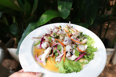 Close-up of meal served in bowl