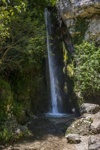 Scenic view of waterfall in forest