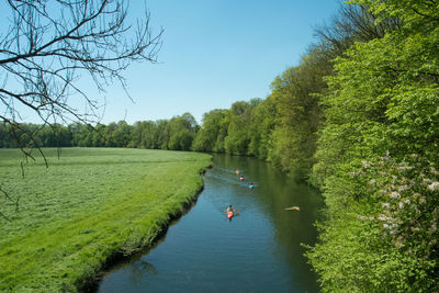 Trees in pond