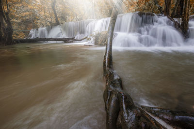 Scenic view of waterfall in forest