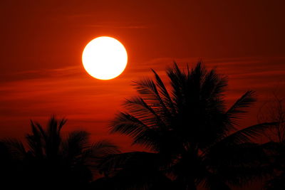 Silhouette tree against orange sky