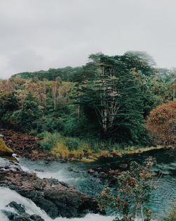 Scenic view of river against sky