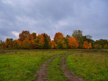 Scenic view of field against sky