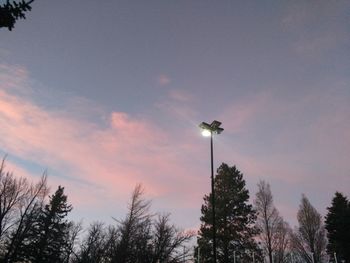 Low angle view of bare trees against sky