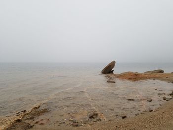 Scenic view of sea shore at beach