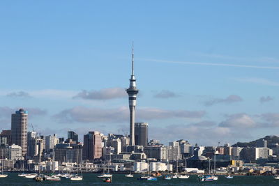 View of sky tower in auckland