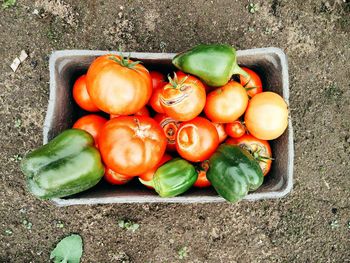 Full frame shot of vegetables