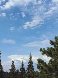 Low angle view of trees against sky