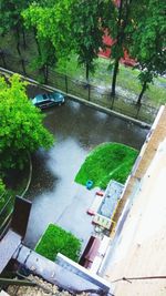 High angle view of plants growing in park