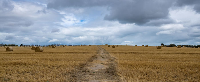 Scenic view of agricultural field against sky