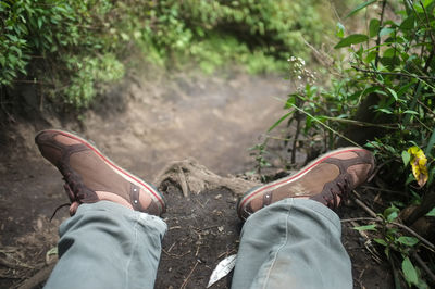 shoe