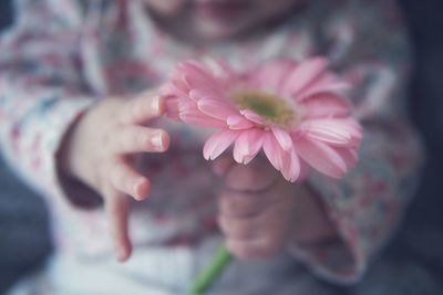 Close-up of hand holding pink flower