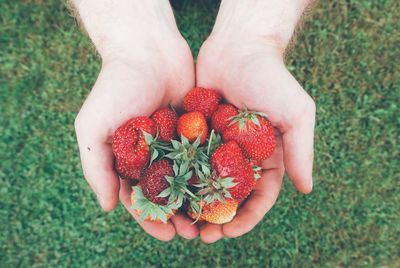 Close-up of hand holding strawberries