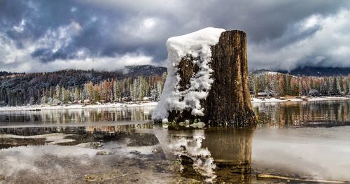Snow covered tree by lake against sky