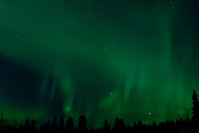 Panoramic view of trees against sky at night