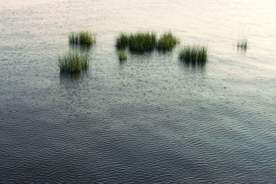 Scenic view of water