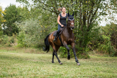 Full length of a horse