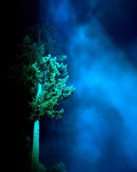 Illuminated tree against sky at night