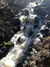 Scenic view of waterfall in forest