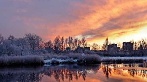 Reflection of bare trees on river at sunset during winter