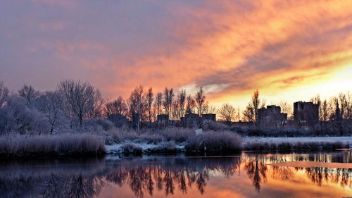 Reflection of trees in river