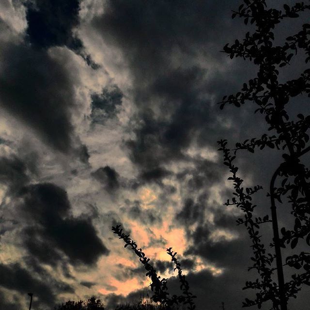 sky, low angle view, cloud - sky, cloudy, silhouette, tranquility, tree, beauty in nature, nature, scenics, tranquil scene, overcast, cloud, weather, bare tree, dramatic sky, dusk, sunset, cloudscape, branch