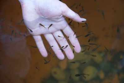 Close-up of hand with fish in water
