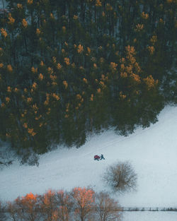 People skiing on snow