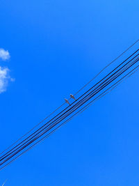 Low angle view of power cables against blue sky