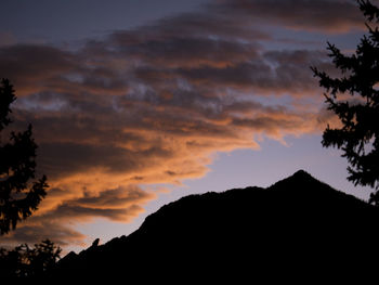 Silhouette of trees against dramatic sky