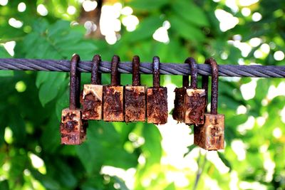 Close-up of padlocks hanging on steel cable