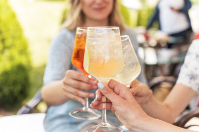 Group of happy people clinking and toasting together with friendship and happiness