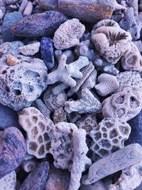 rock