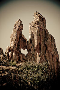 Low angle view of trees