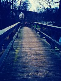 Boardwalk amidst trees