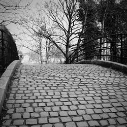 Cobblestone street amidst bare trees against sky