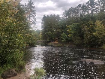 Scenic view of waterfall in forest